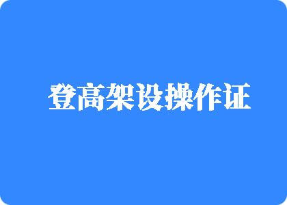 肥婆日逼登高架设操作证